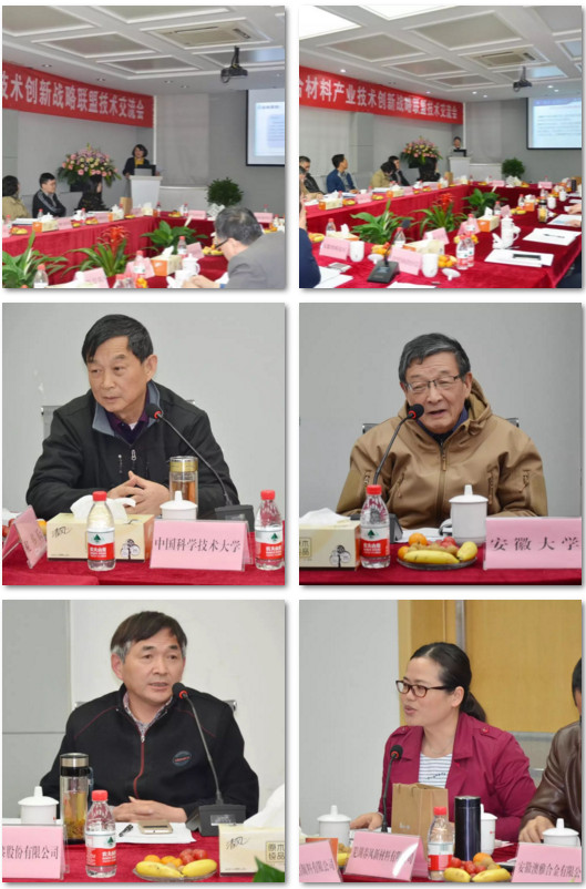 安徽省金屬漿料(粉體)高分子復合材料產業(yè)聯(lián)盟技術交流會  